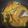 Cooksnap dari Aastrooolio Gamerzz untuk resep Kakap Merah Kuah Asam Belimbing Wuluh