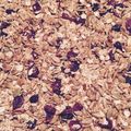 El cooksnap de guevaragladis cuando hizo Granola Casera .