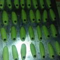 Cooksnap dari Nova Agustinus untuk resep Kue Kering Ulat Hijau Mudah Anti Gagal