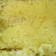 Cooksnap dari Ainun Maylana untuk resep Baked Mashed Potato (#pr2_recookumbiumbian)