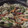 El cooksnap de mariana victoria aguirre cuando hizo -Almuerzo saludable- Wok de vegetales, legumbres y pasta.