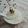 NehaL Jain's cooksnap of when they made Cardamom Shrikhand.