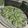 El cooksnap de César Brito cuando hizo Tagliatelle con pesto de espinacas.