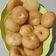 Cooksnap dari Niken Nurfarida untuk resep Donat Kentang Lembut Anti Gagal & Empuk, Mulus