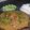 Shazi Mudabbir's cooksnap of when they made Daal sabat masoor.