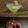 Madhumita Bishnu's cooksnap of when they made Fruit of Love Mar-Tea-Ni – Lychee martini.