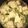Ankita Mehta's cooksnap of when they made વાટીદાળ ના ખમણ ઢોકળા(Vatidal Khaman Dhokla Recipe In Gujarati).