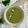 kecke.kueche's cooksnap of when they made Brokkoli-Erbsen-Suppe mit Kokosmilch.