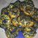Cooksnap dari lestari untuk resep Donat no telur "1000an"