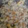 Cooksnap dari Miss Yuni untuk resep Nasi goreng hongkong / nasi goreng putih tanpa kecap
