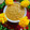 Mallika Biswas's cooksnap of when they made চুসির পায়েস / চুসি পিঠা (  Chusi pithe recipe in bengali).