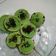 Cooksnap dari Sita Wulandari untuk resep Kue Cubit Pandan Keju