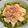 El cooksnap de Mara cuando hizo Ensalada de Rúcula, Manzana y Manchego.