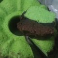Cooksnap dari 🍩🍰Ririn Puspitasari untuk resep Brownise Kukus ala2 Amanda