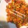 Cooksnap dari Tisast untuk resep Sambal Goreng Kentang Ati Pedas Simple