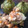 El cooksnap de Paulina Trejo cuando hizo Calabacitas rellenas de carne molida y avena.