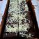 Cooksnap dari Nies Sucipto untuk resep Brownies Kukus