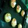 El cooksnap de Roberta - cuando hizo Zapallitos rellenos con verduras.