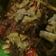 Cooksnap dari dewi untuk resep Tongseng daging sapi
