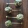Hema Kamdar's cooksnap of when they made ખજૂર ની લોલીપોપ (Khajur Lolipop Recipe in Gujarati).