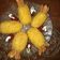 Cooksnap dari Ambu Alrendia untuk resep Sosis corndog hemat sederhana