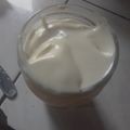 El cooksnap de Vanina Belvedere cuando hizo Mayonesa Casera hecha en licuadora.