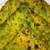 Neeta kamble का कुकस्नैप जब उन्होंने मेथी के पराठे (methi ke parathe recipe in Hindi) बनाया था।