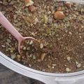 صورة من رقيه المقبالي، شاركها بعد تجربة وصفة العصيده