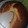 Vivian Namwalo's cooksnap of when they made Pumpkin 🎃 cake.