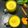 Dipa Bhattacharyya's cooksnap of when they made গোল্ডেন মিল্ক (golden milk recipe in bengali).