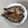 Cooksnap dari trianurjani untuk resep 359. Steam Mujair Saus Hongkong