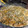 El cooksnap de Mario Arm Mon cuando hizo Macarrones con queso al horno.