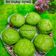 Cooksnap dari Marissa Savista untuk resep Bakpao pandan empuk