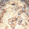 El cooksnap de Marta Iglesias Estevez cuando hizo Espaguetis con gambas y champiñones al ajillo.