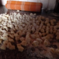 El cooksnap de Susana Gazi cuando hizo Ñoquis de papa.