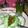 Cooksnap dari Haruki's kitchen untuk resep Klepon Saus Santan