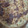 El cooksnap de MaryGlory cuando hizo Quiche de puerros.
