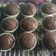 Cooksnap dari Fatima Zahra untuk resep Double Chocolate Banana Muffins