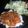 StephieCanCook's cooksnap of when they made Filipino Chicken Adobo.