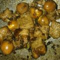 Cooksnap dari Pipin Novitasari untuk resep Telur Puyuh Kecap