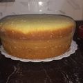 El cooksnap de Nadia Ibarra cuando hizo Bizcochuelo Exquisita XL muy fácil en olla Essen.