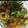 Smita Tanna's cooksnap of when they made કારેલા બટાકા નું શાક (Karela Bataka Shak Recipe In Gujarati).