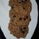 Cooksnap dari Ratna Budhiwati untuk resep Blueberry oat cookies