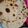 Cooksnap dari Samirah Mamah Zakia untuk resep Cara Mudah Membuat Roti Arab