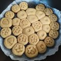 کوک اسنپ بهار بانو بعد از امتحان کردن شیرینی دادلی بدون فر.