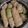 Cooksnap dari Si Menik untuk resep Siomay Kubis isi ayam+udang
