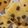 Cooksnap dari Fitria Silondae untuk resep Raisin Butter Cookies alias LekkeR