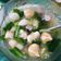 Cooksnap dari Regina Putri untuk resep Suki Kuah Kaldu Udang