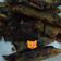Cooksnap dari cacaseren untuk resep Pisang coklat (piscok)