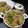 Swati Bharadwaj's cooksnap of when they made হায়দ্রাবাদি চিকেন বিরিয়ানি (Hyderabadi chicken biriyani recipe in Bengali).